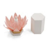 Lotus Petal Dropper Bottle Gift Box with Textured Cover