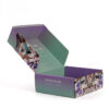 Printed Makeup Brush Mailer Box with Gradient Tuck Flap